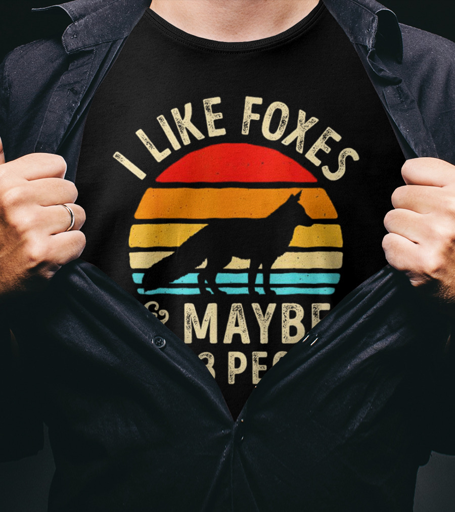 I Like Foxes And Maybe Like 3 People Vintage Sunset T-Shirt