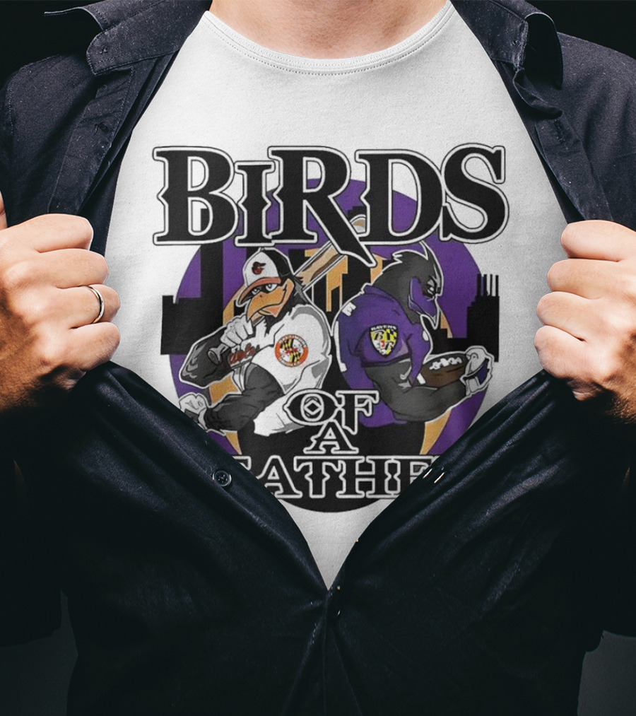 Birds Of A Feather Baltimore Ravens And Orioles T-Shirt