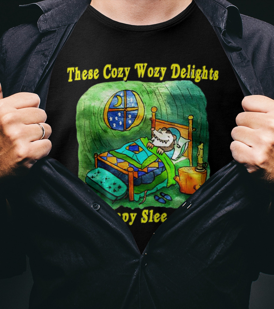 These Cozy Wozy Delights Have Eepy Sleepy Ends Cozy Bed Scene T-Shirt