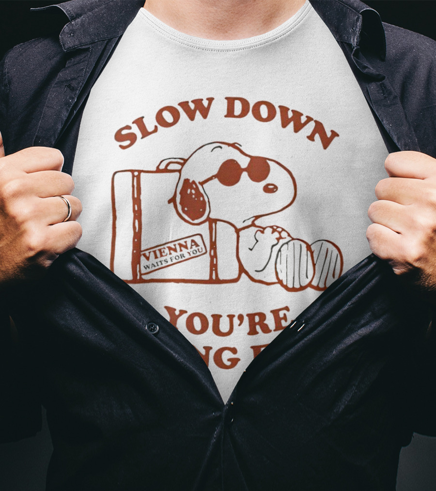 Snoopy Slow Down You’re Doing Fine Vienna Waffle Box T-Shirt