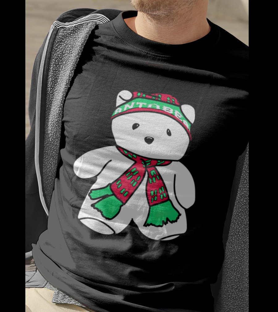Santa Bear Minnesota Christmas Festive Holiday Teddy T-Shirt