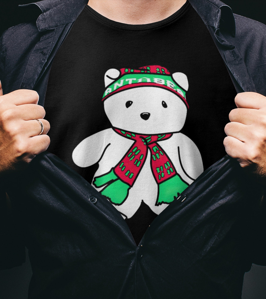 Santa Bear Minnesota Christmas Festive Holiday Teddy T-Shirt
