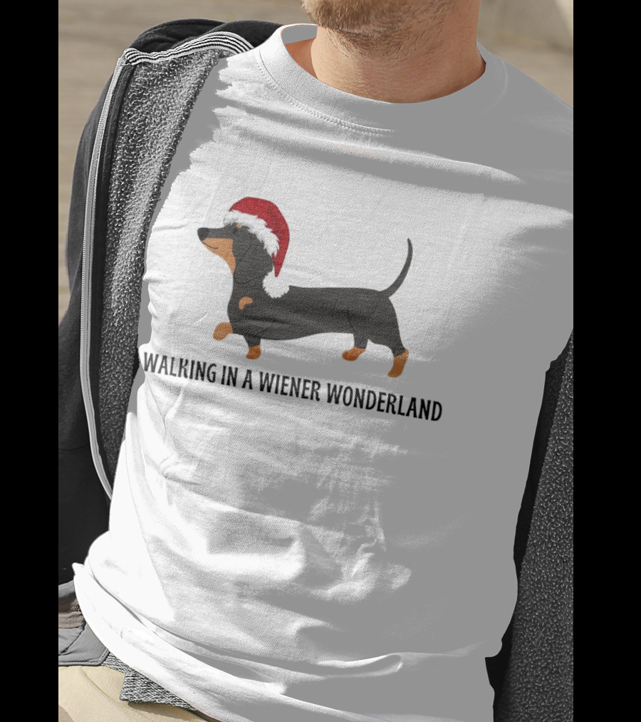 Christmas Walking In A Wiener Wonderland Dachshund With Santa Hat T-Shirt