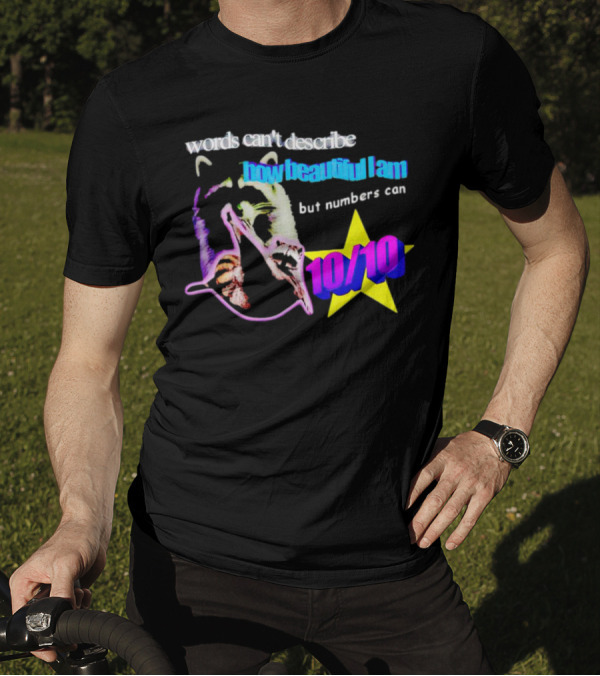 Words Can’t Describe How Beautiful I Am But Numbers Can Raccoon 10/10 Star T-Shirt