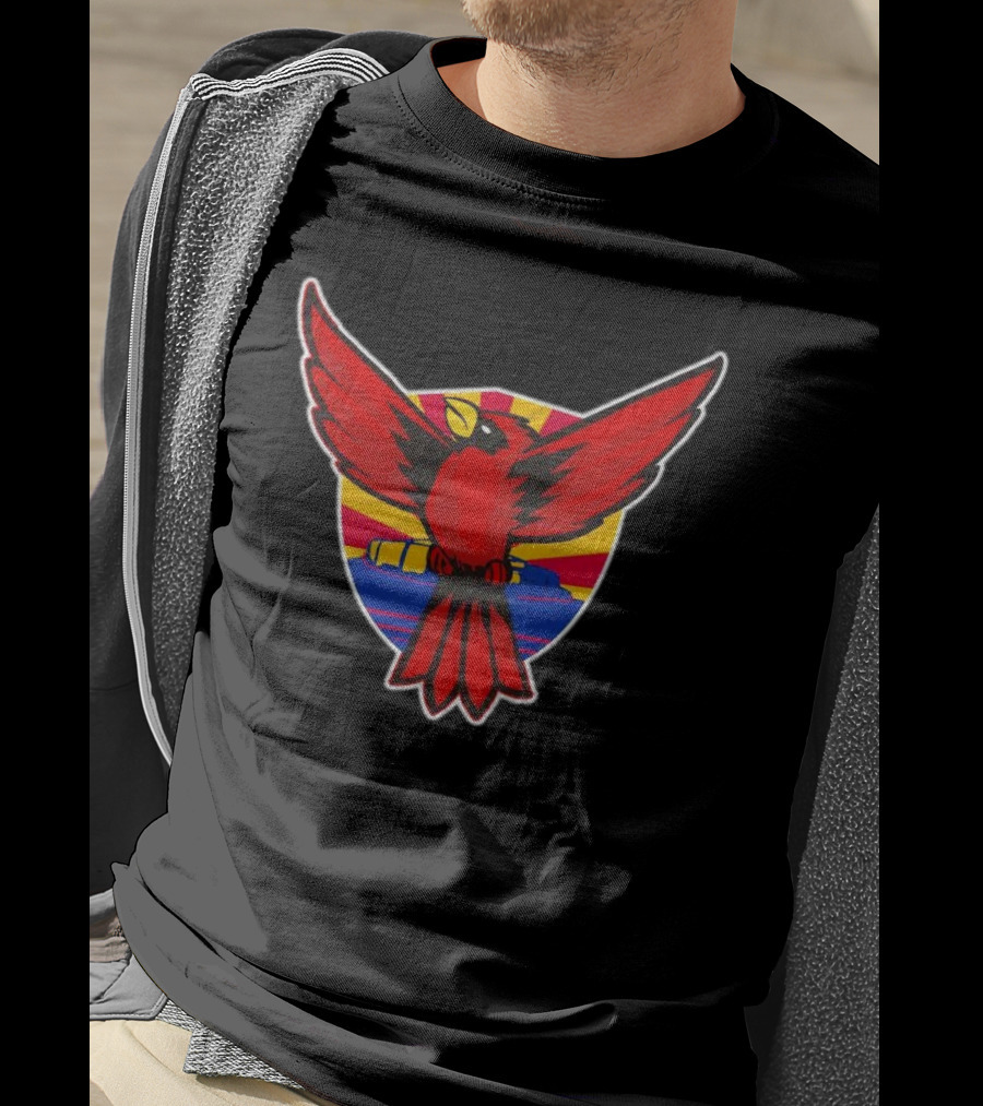 Phoenix Arizona Cardinals Sunburst T-Shirt