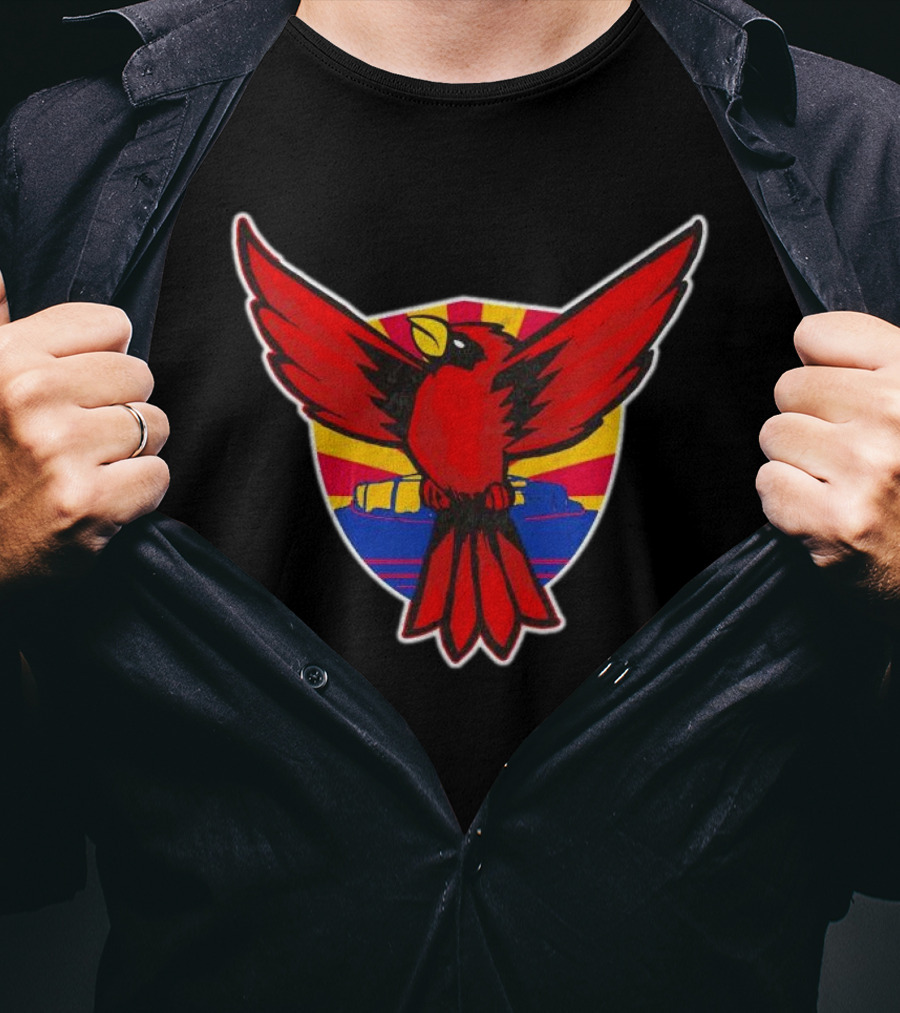 Phoenix Arizona Cardinals Sunburst T-Shirt