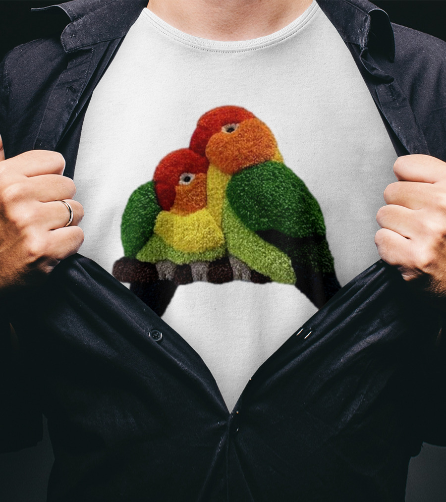 A Pair Of Lovely Parrots In Vibrant Cozy Colors T-Shirt
