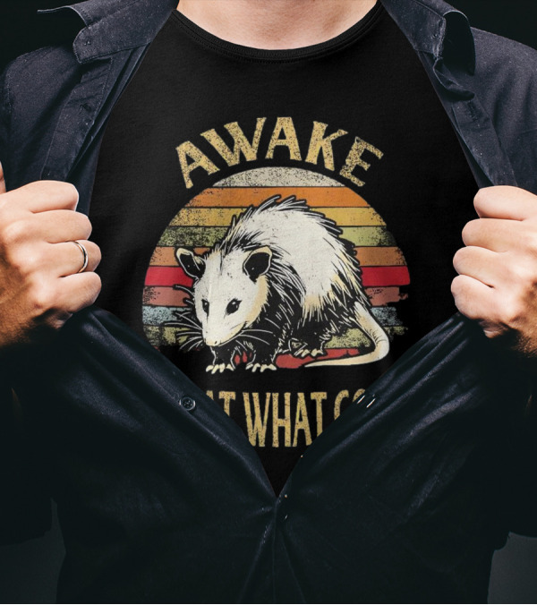 Awake But At What Cost Vintage Opossum Retro Stripes T-Shirt