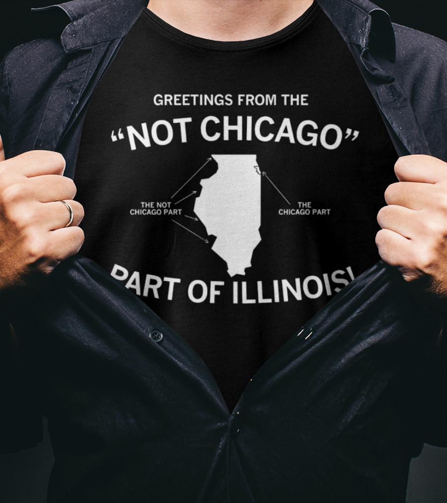 Greetings From The Not Chicago Part Of Illinois Sculpture Highlighting Chicago And Not Chicago Part T-Shirt
