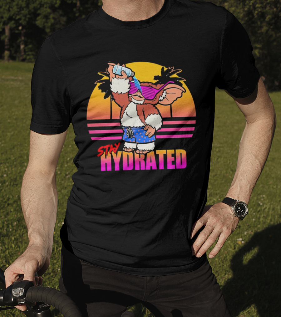 Stay Hydrated Gizmo Summer Beach Vibes With Sunset And Palm Trees T-Shirt