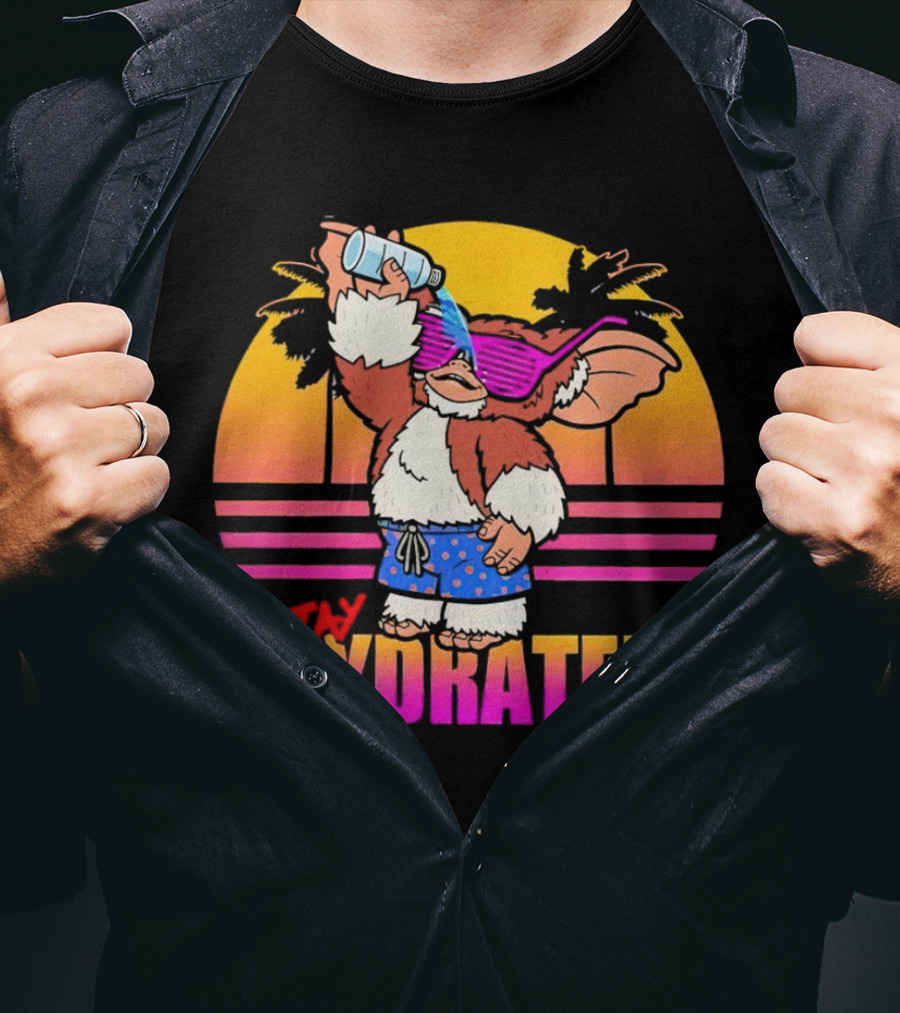 Stay Hydrated Gizmo Summer Beach Vibes With Sunset And Palm Trees T-Shirt