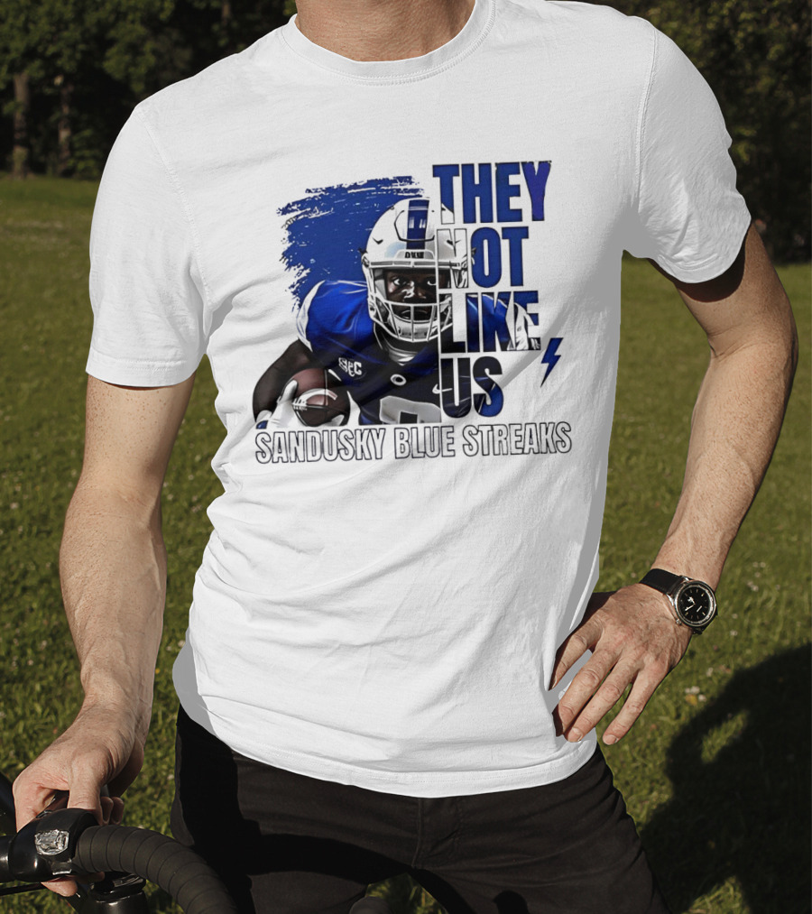 Sandusky Blue Streaks They Not Like Us Football Player Grunge T-Shirt
