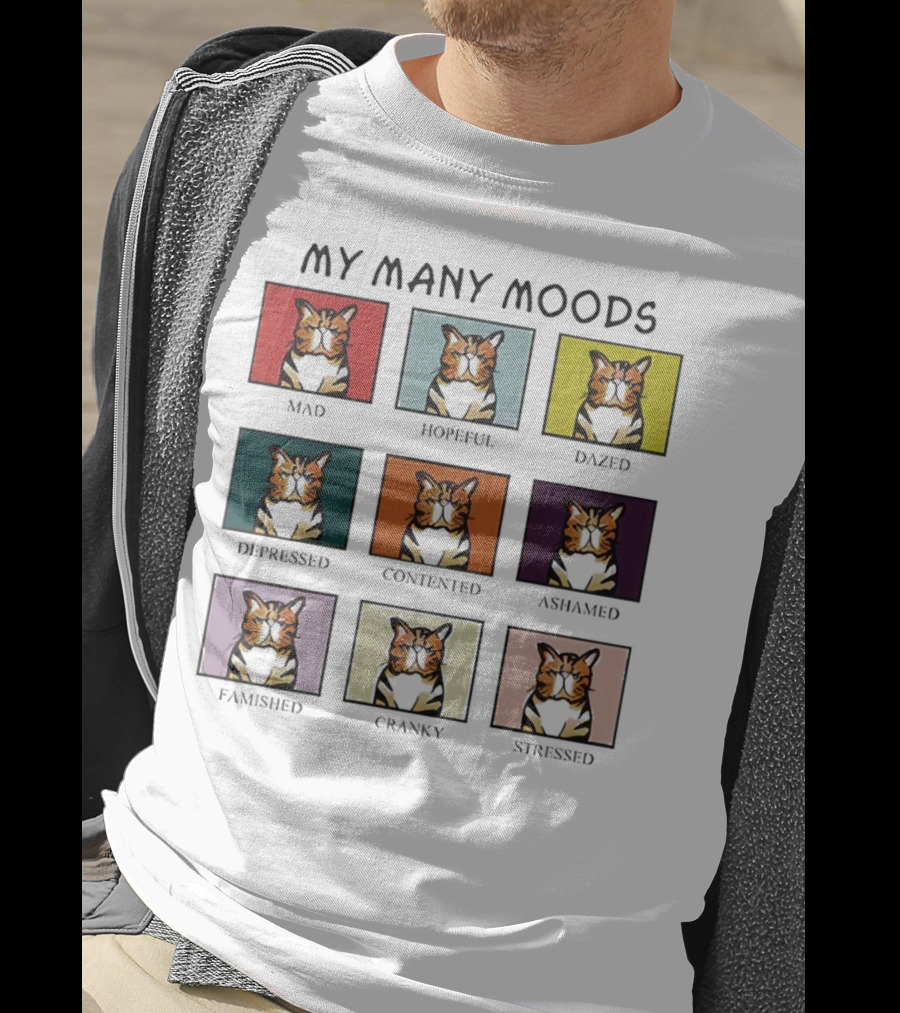 My Many Moods Mad Hopeful Dazed Depressed Contented Ashamed Famished Cranky Stressed T-Shirt
