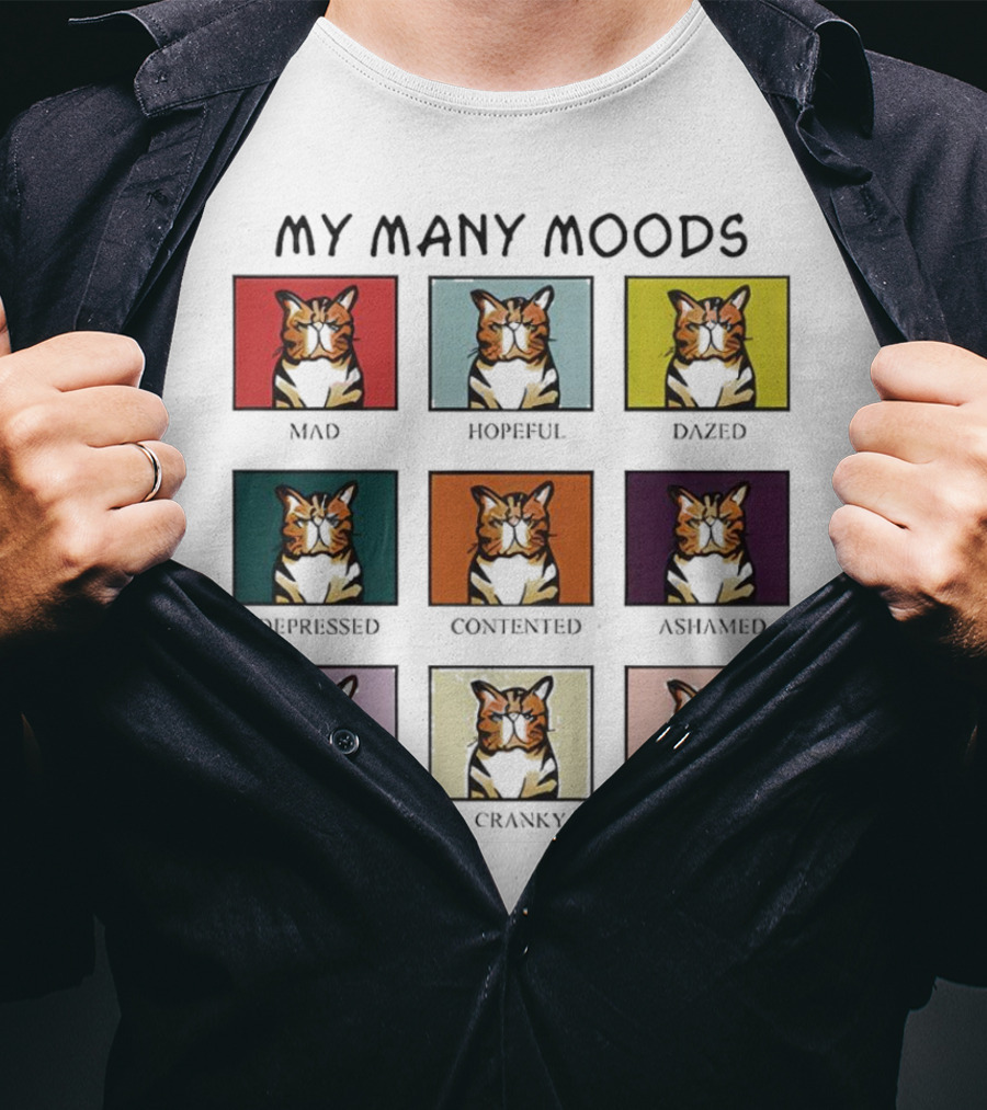My Many Moods Mad Hopeful Dazed Depressed Contented Ashamed Famished Cranky Stressed T-Shirt