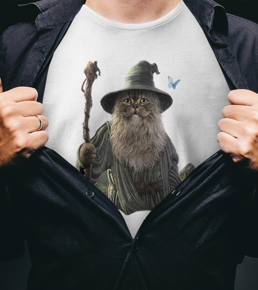 Cat The Mountain Wizard Catdalf Cat With Staff And Hat T-Shirt