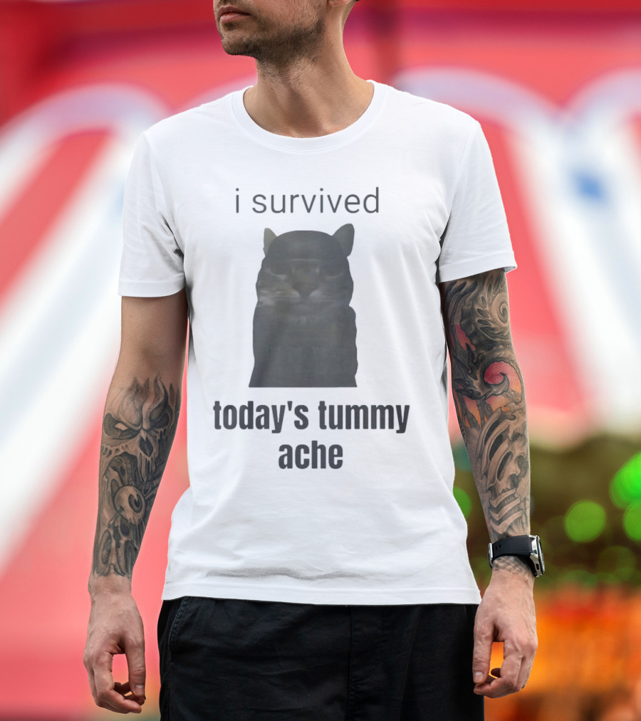 I Survived Today's Tummy Ache Cat Image T-Shirt