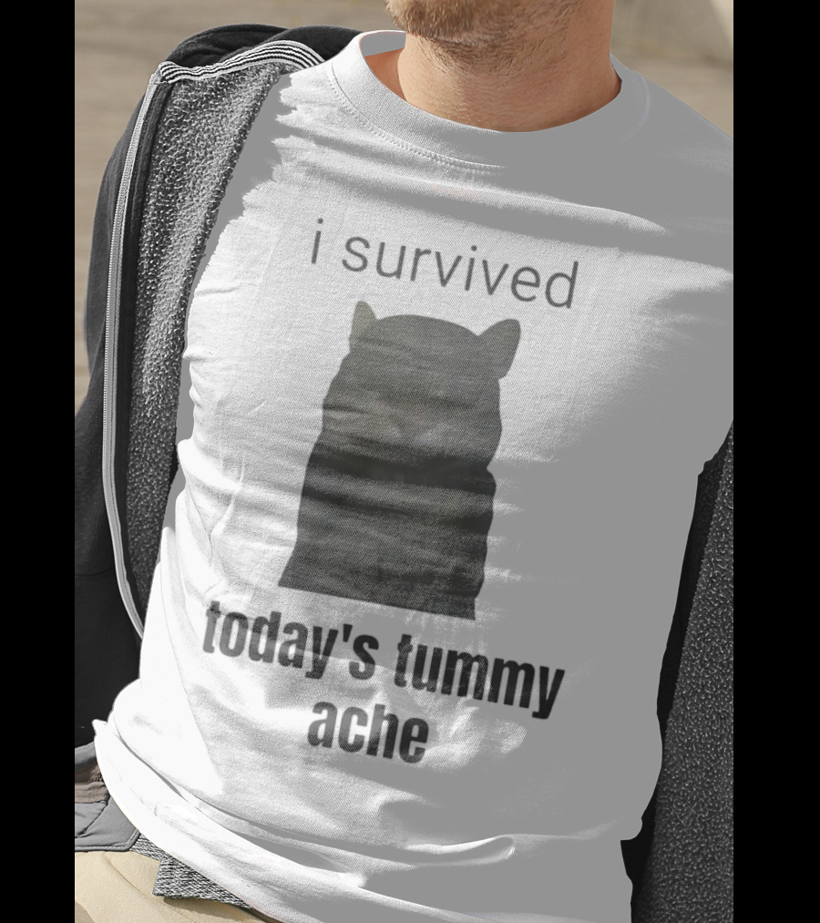 I Survived Today's Tummy Ache Cat Image T-Shirt