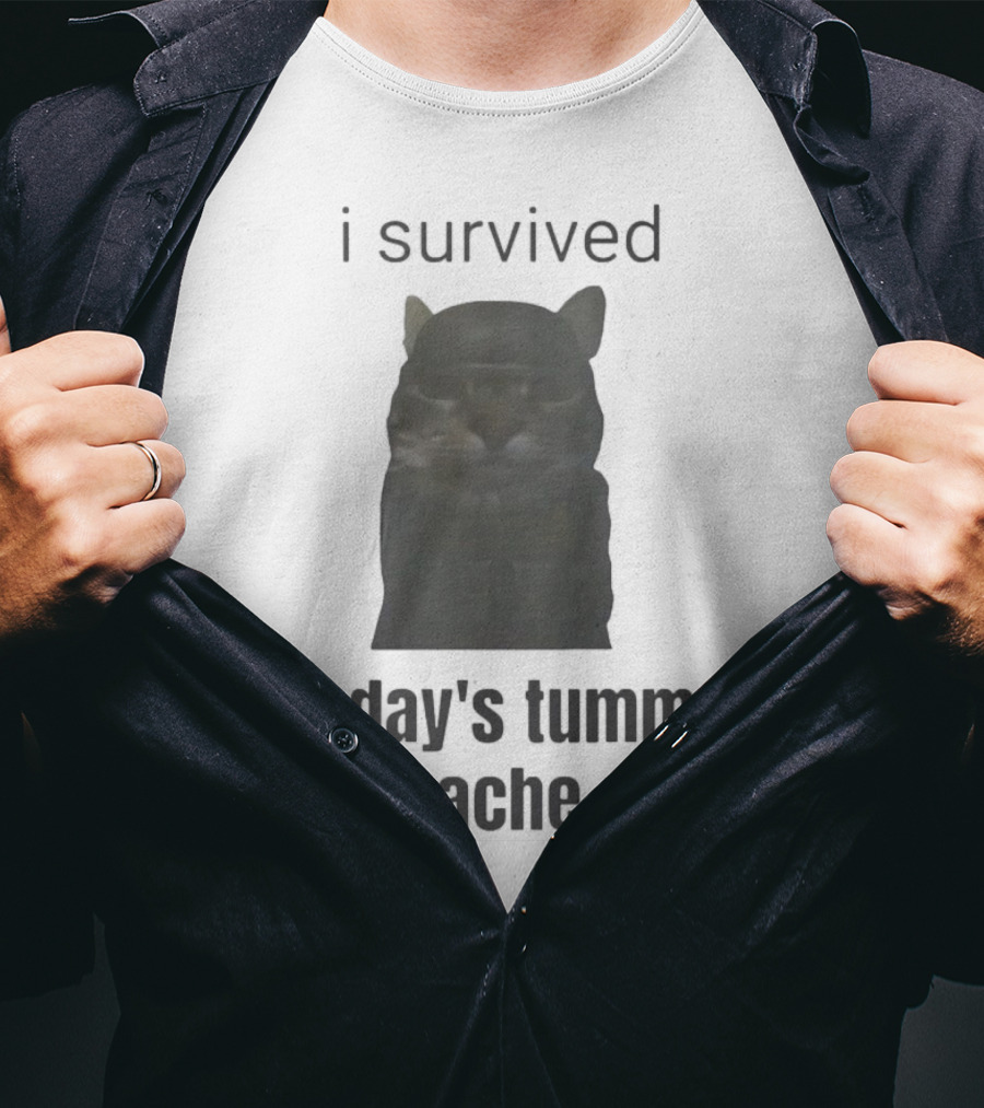 I Survived Today's Tummy Ache Cat Image T-Shirt