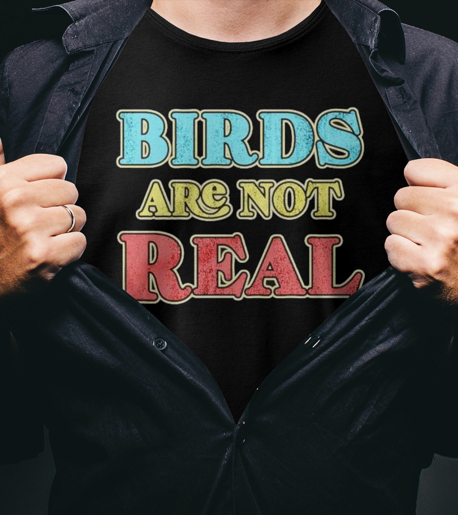 Birds Are Not Real Vintage T-Shirt