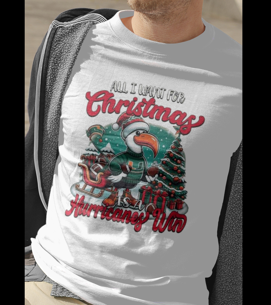 All I Want For Christmas Is A Hurricanes Win Santa Birdfest T-Shirt