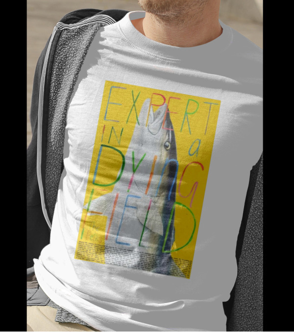 The Beths Expert In A Dying Field 2024 Bright Fish T-Shirt