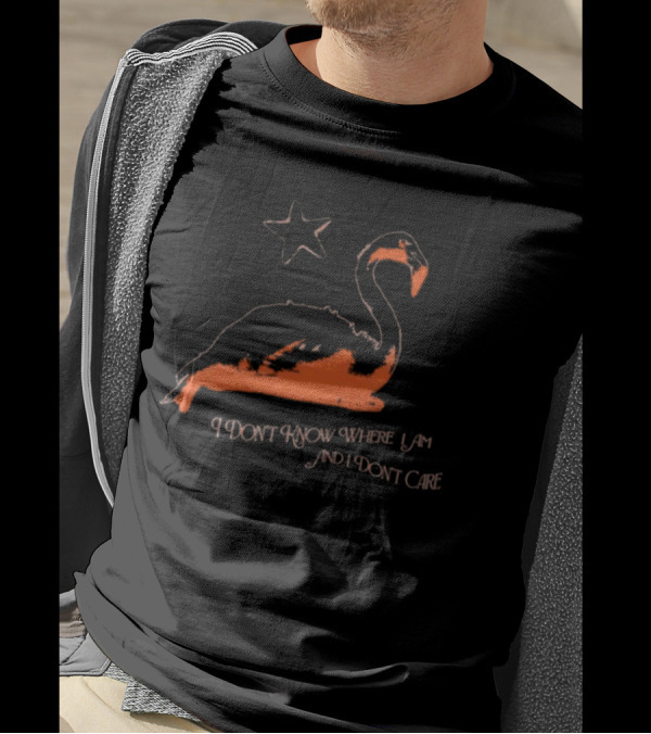 Flamingo I Don’t Know Where I Am And I Don’t Care With Star T-Shirt
