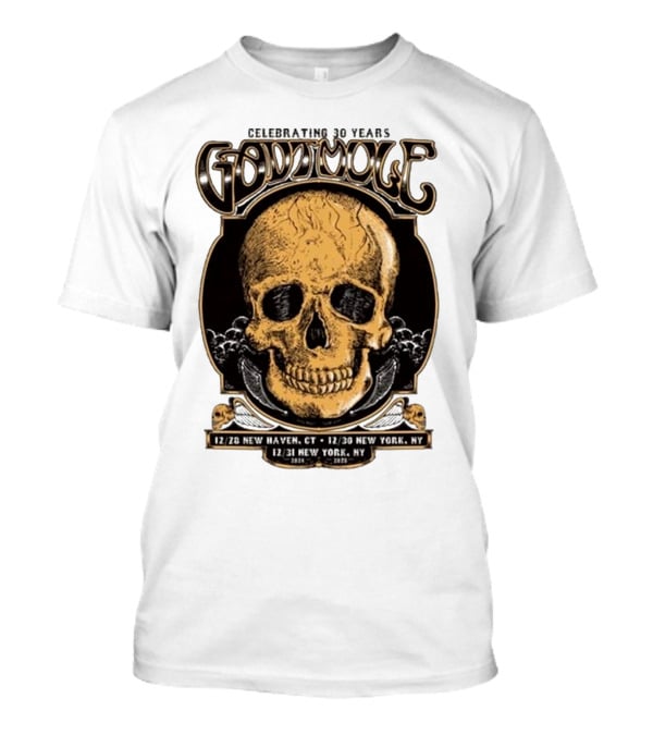 Celebrating 30 Years Gov’t Mule Skull Design Dec 28 New Haven CT Dec 30-31 New York NY T-Shirt