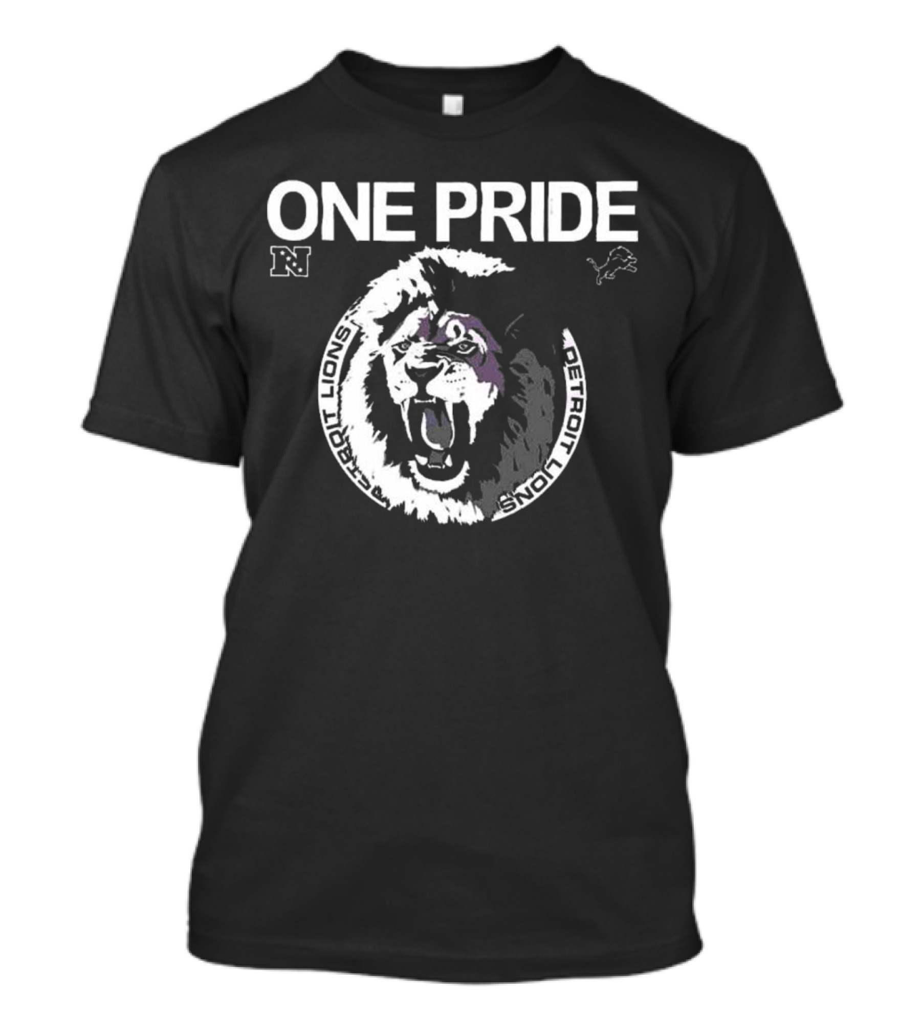 One Pride Detroit Lions NFC Vintage Logo Mascot T-Shirt