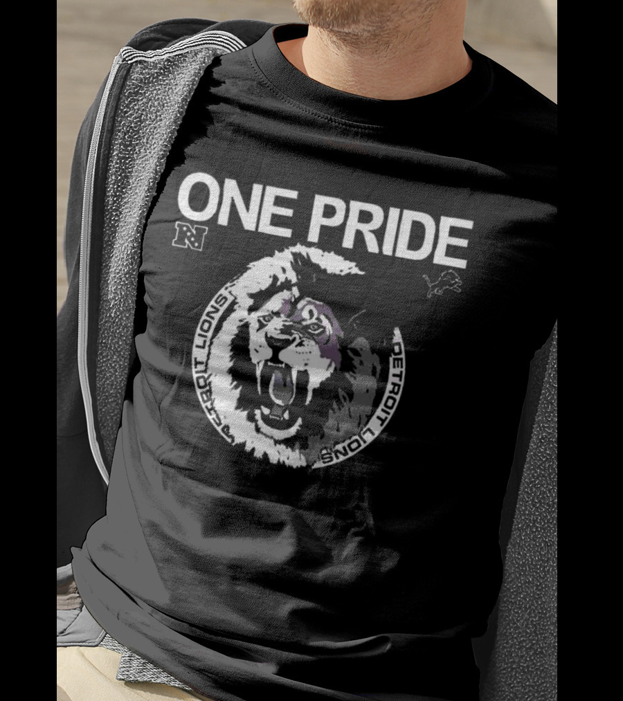 One Pride Detroit Lions NFC Vintage Logo Mascot T-Shirt