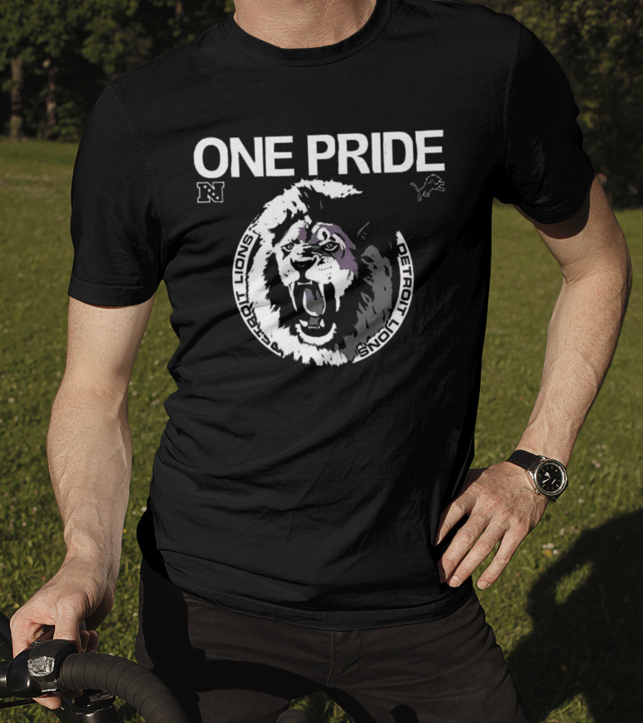 One Pride Detroit Lions NFC Vintage Logo Mascot T-Shirt