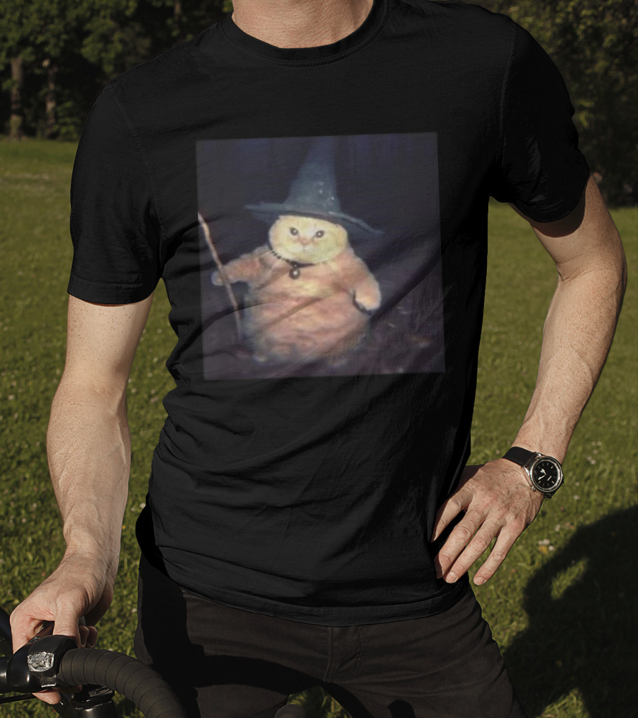 Cheeseball The Wizard Cat Meme Wearing Witch Hat And Holding Wand T-Shirt