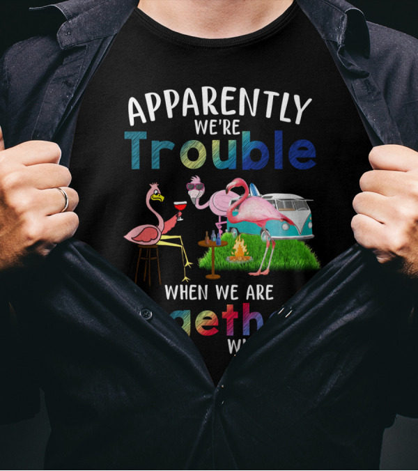 Apparently We're Trouble When We Are Together Flamingos Camping Van Campfire T-Shirt