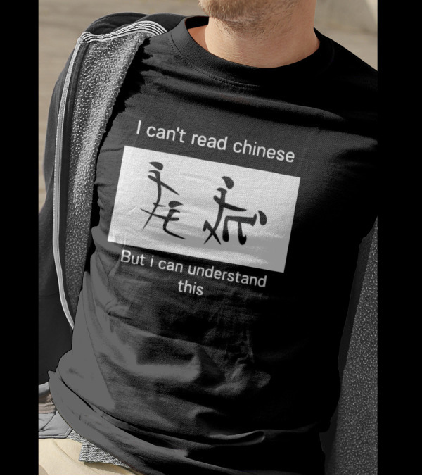 I Can't Read Chinese But I Can Understand This Humorous Pictorial Characters T-Shirt
