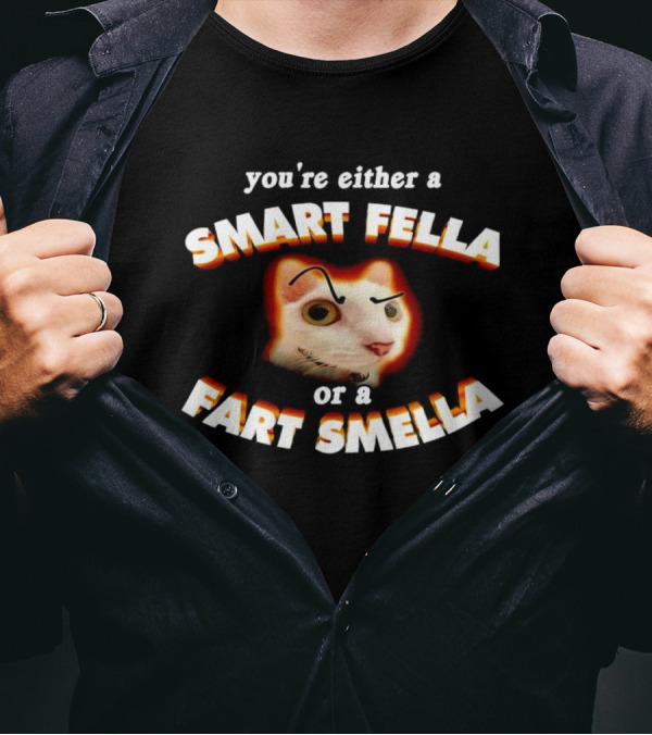You're Either A Smart Fella Or A Fart Smella Cat Face T-Shirt