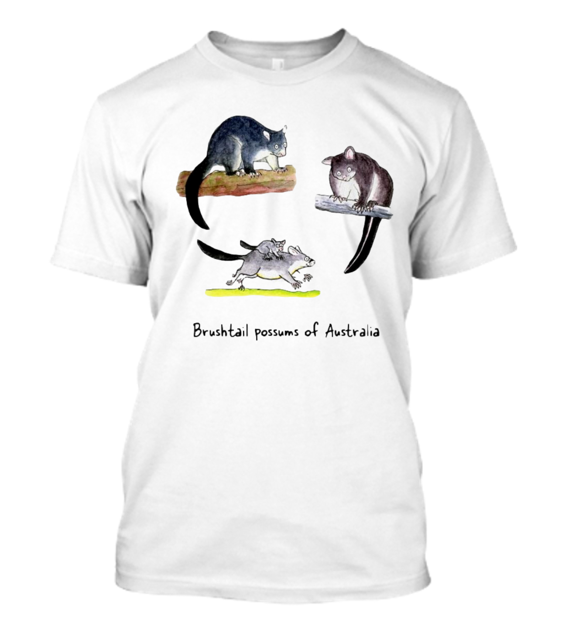 Brushtail Possums Of Australia T-Shirt