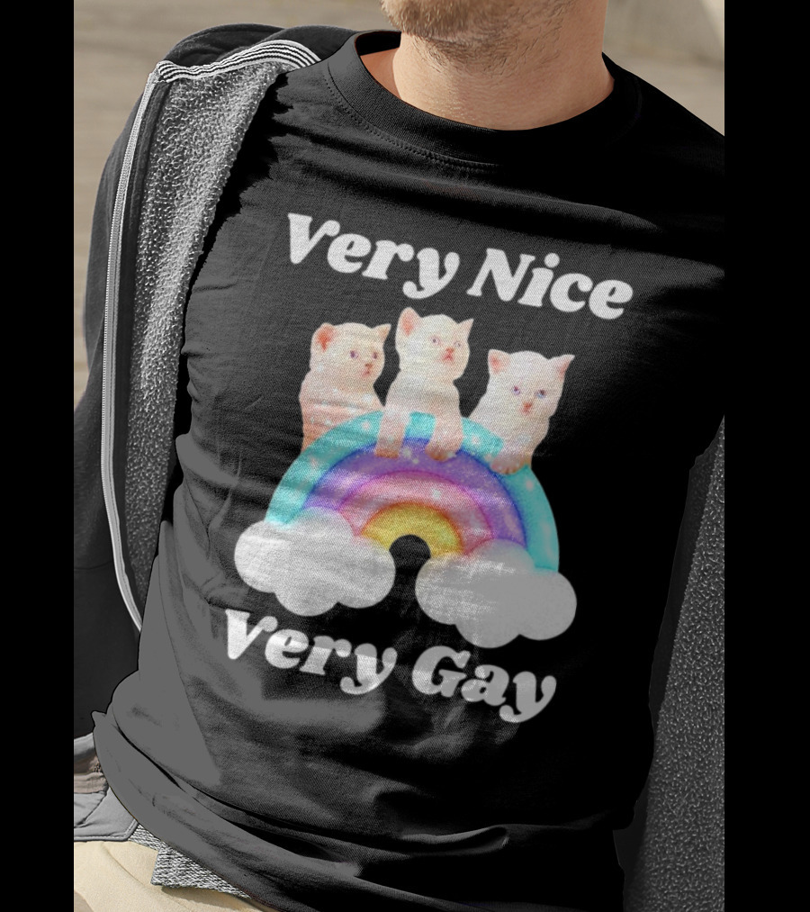 Very Nice Very Gay Cats On Rainbow T-Shirt