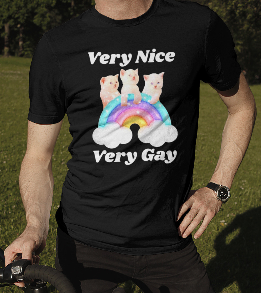 Very Nice Very Gay Cats On Rainbow T-Shirt