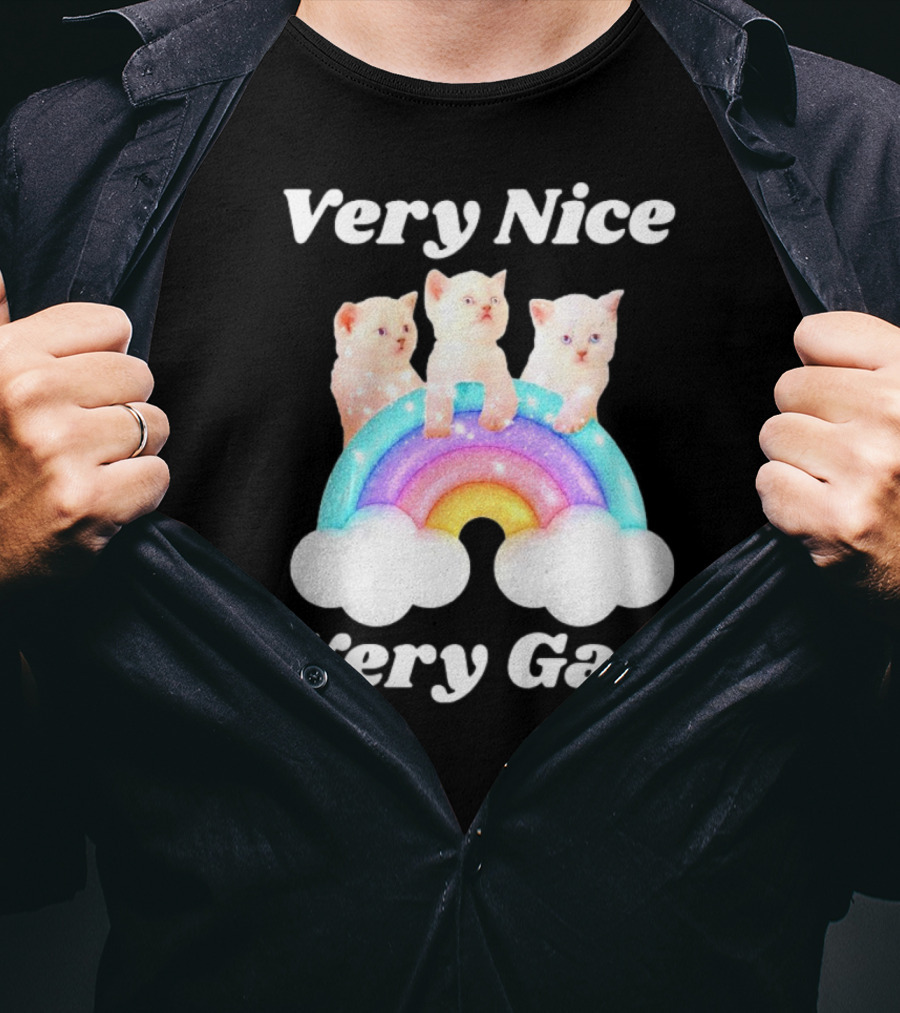 Very Nice Very Gay Cats On Rainbow T-Shirt