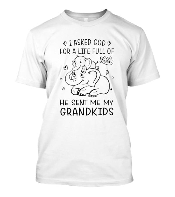I Asked God For A Life Full Of Love He Sent Me My Grandkids Elephants Hearts T-Shirt
