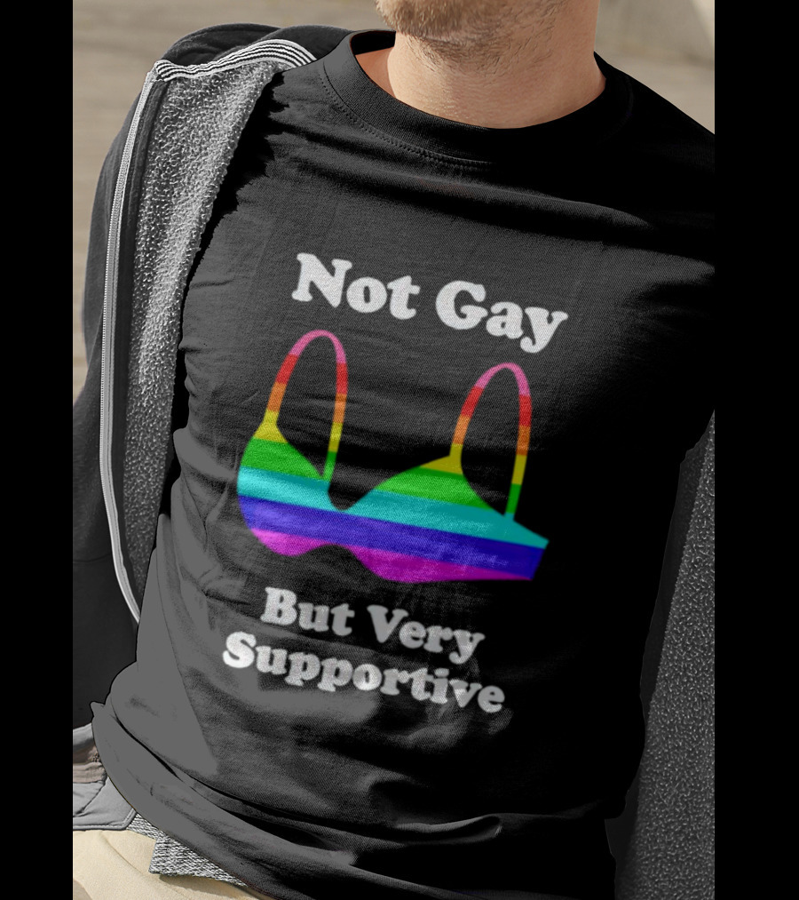 Not Gay But Very Supportive Rainbow Bra T-Shirt