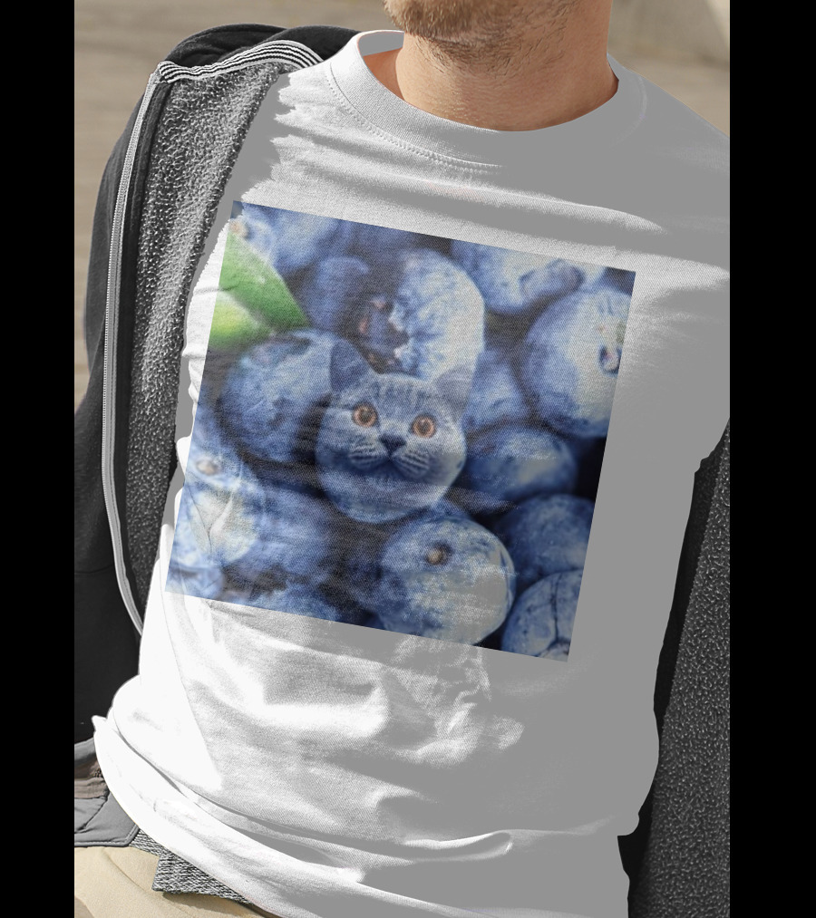Cat Blueberries Meme T-Shirt