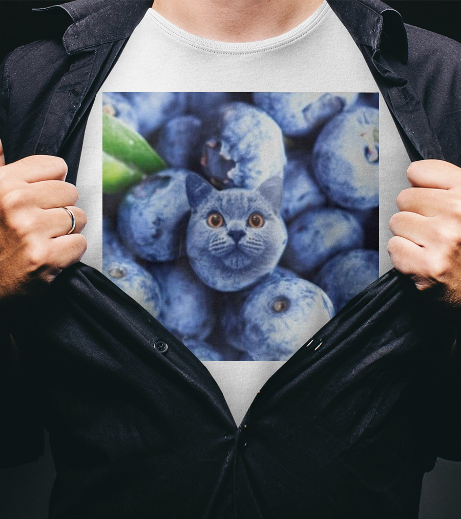 Cat Blueberries Meme T-Shirt