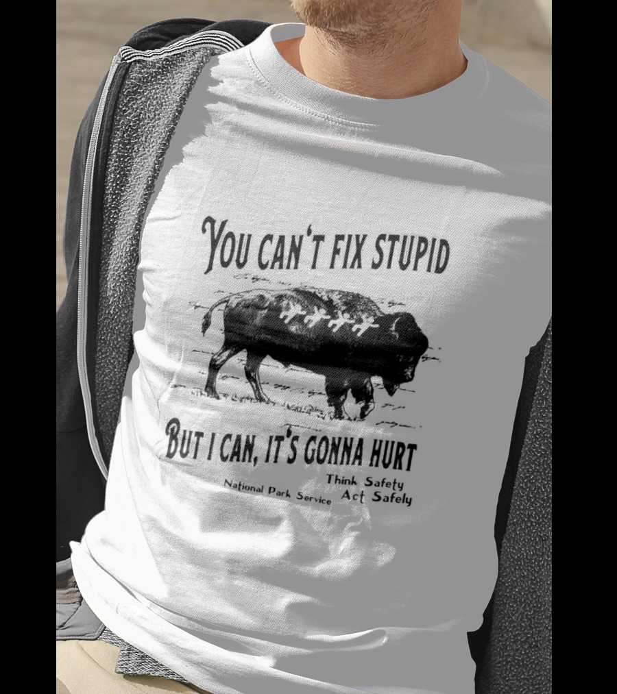 You Can't Fix Stupid But I Can, It's Gonna Hurt Think Safety Act Safely National Park Service T-Shirt