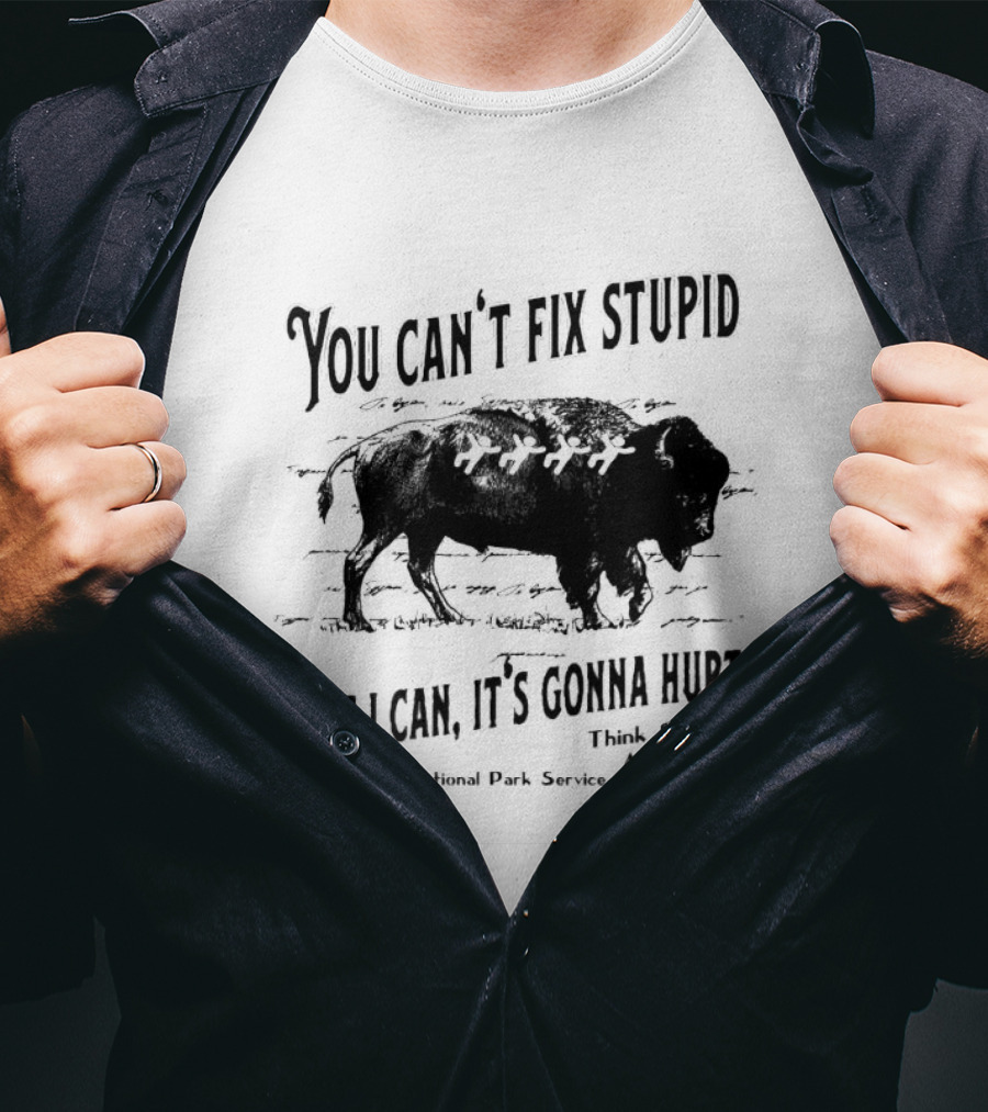 You Can't Fix Stupid But I Can, It's Gonna Hurt Think Safety Act Safely National Park Service T-Shirt