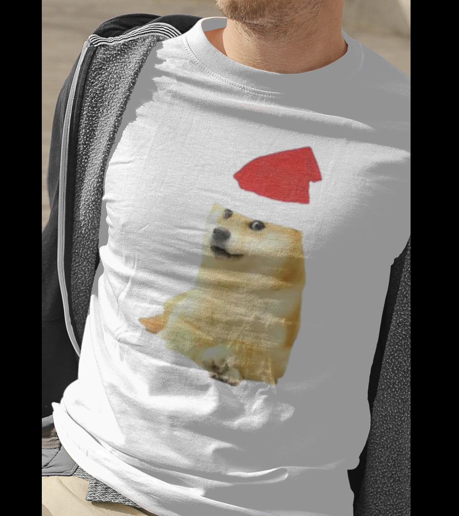 Dogecoin Christmas Santa Hat Meme T-Shirt