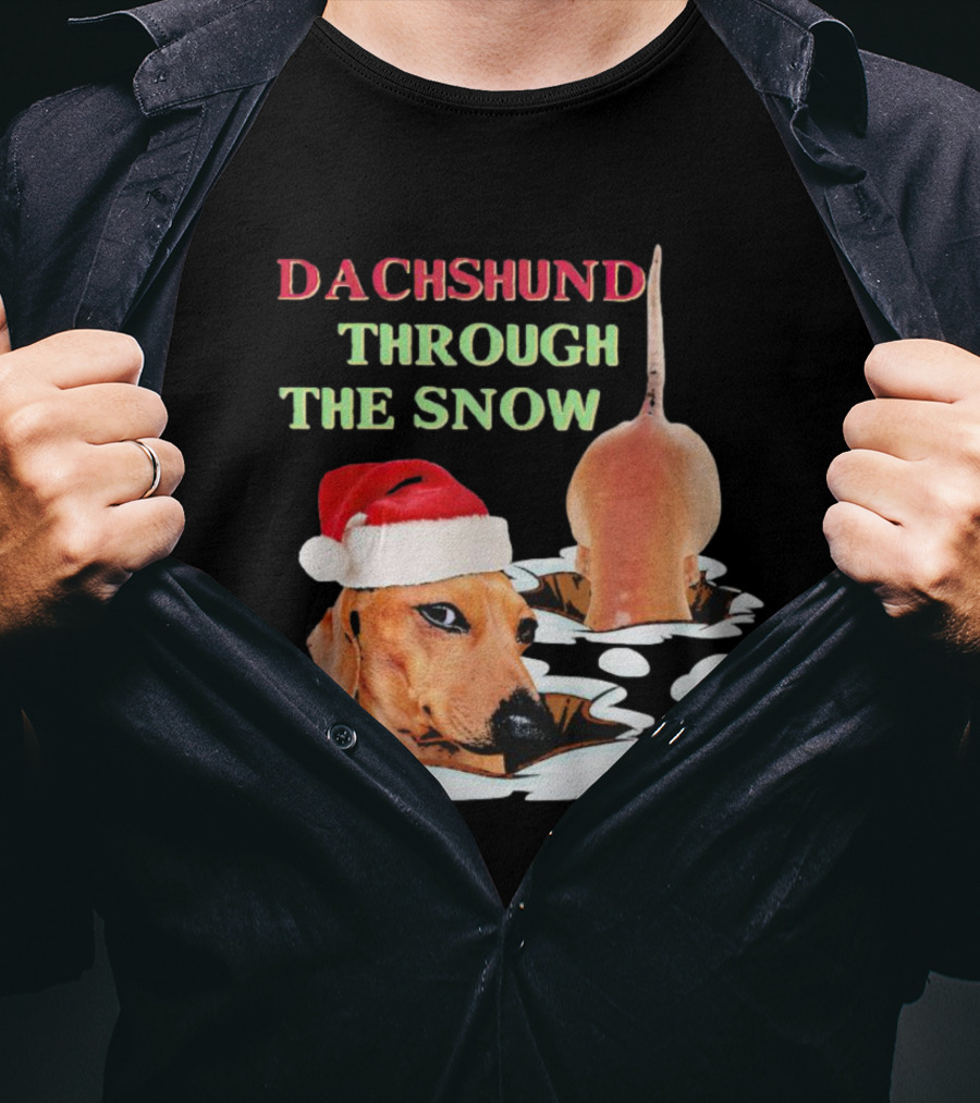 Dachshund Through The Snow Santa Hat Dog And Snow Bubbles T-Shirt