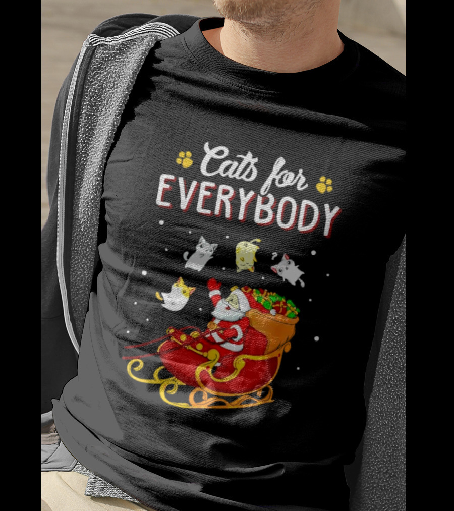 Cats For Everybody Santa With Cats Sleigh Christmas T-Shirt