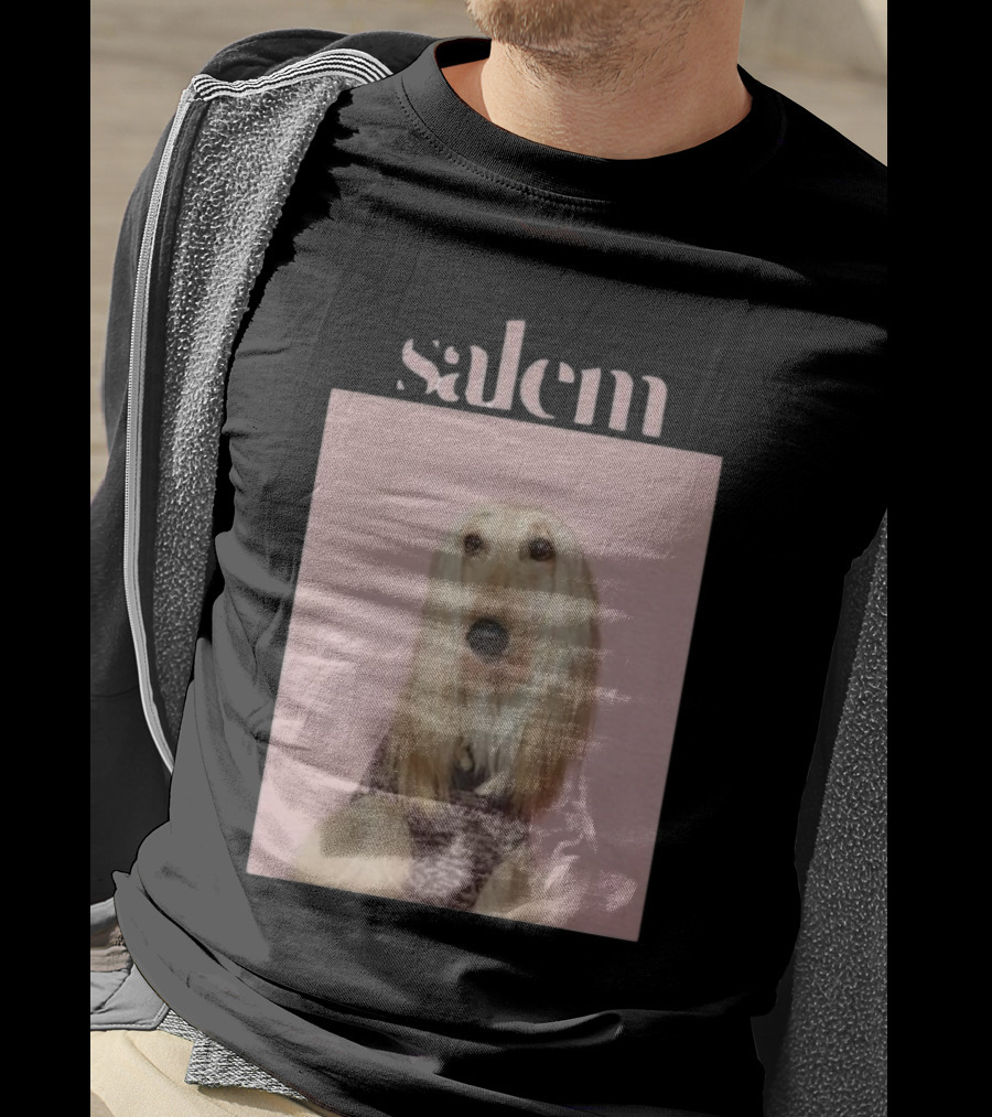 Salem Ilese Dog Afghan Hound Portrait On Pink Background T-Shirt