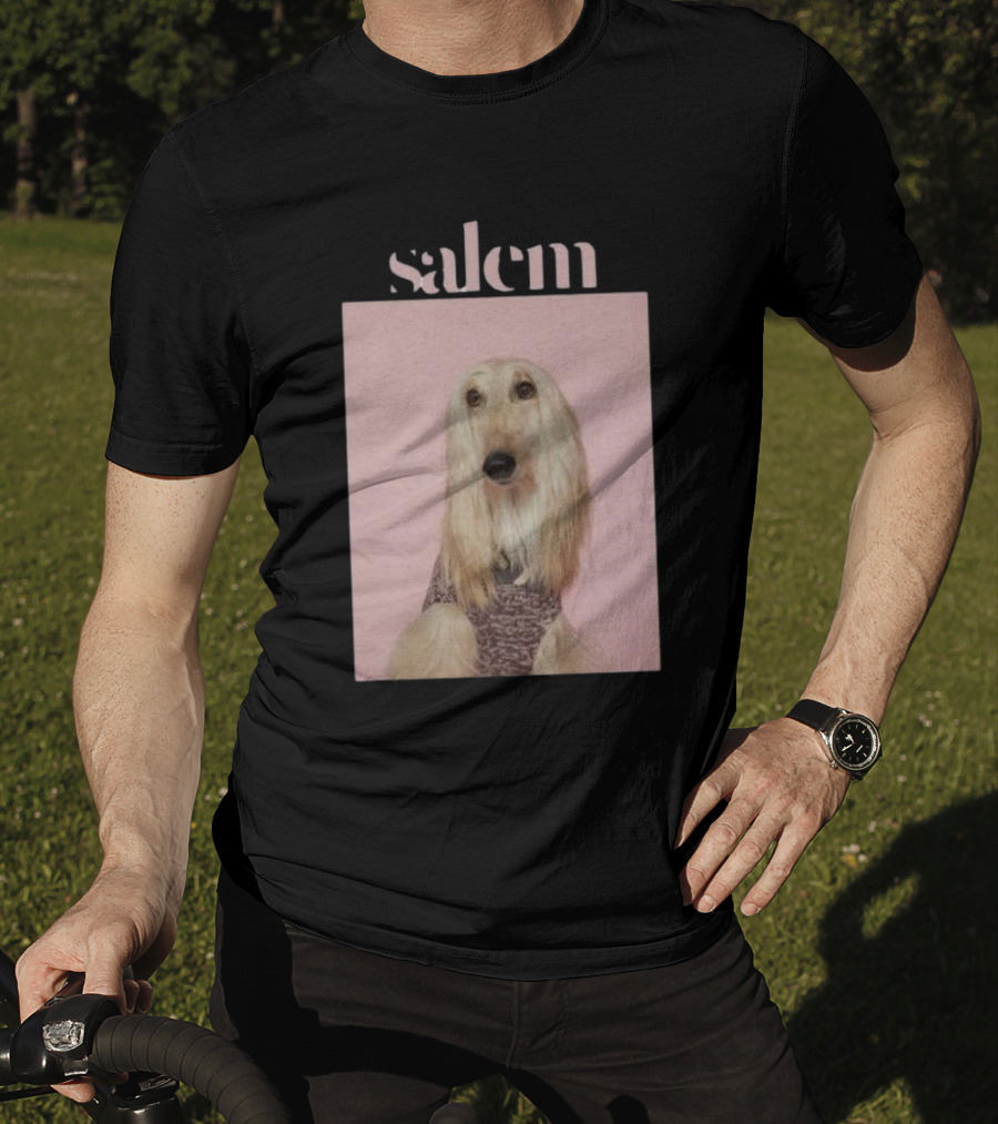 Salem Ilese Dog Afghan Hound Portrait On Pink Background T-Shirt