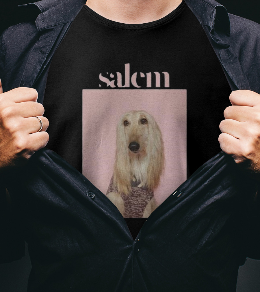 Salem Ilese Dog Afghan Hound Portrait On Pink Background T-Shirt